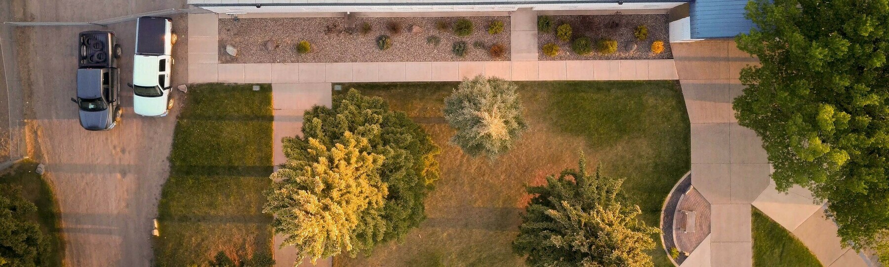 Aerial lawn and trees of ICSS